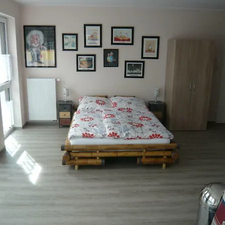 Buntevillamuenster 3*