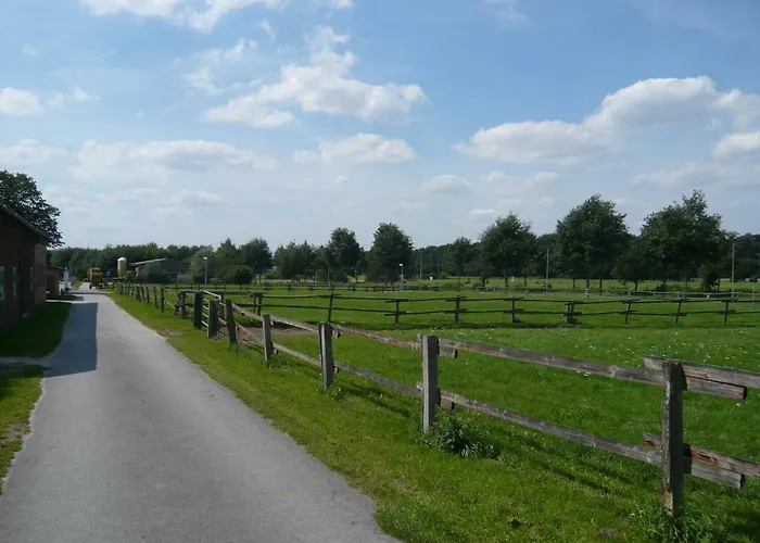 酒店 Buntevillamuenster 蒙斯特